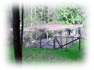 Large Aviary