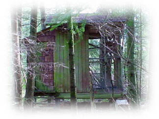 Squirrel House